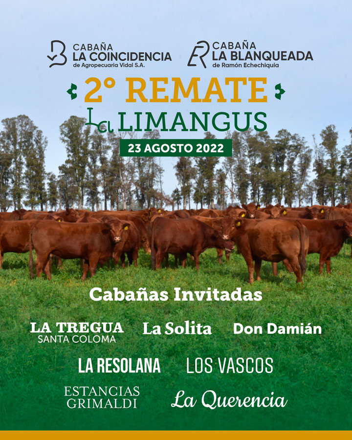 Remate Limangus Cabaña La Blanqueada el 23 Agosto de 2022 en 9 de Julio, Bs As